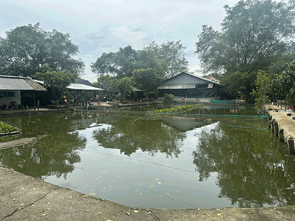 Sang Khu Câu Cá Giải Trí “ Lã Vọng “ DT : 12.500 m2