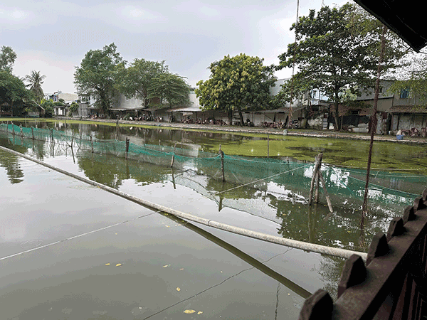 Sang khu câu cá Sang khu câu cá