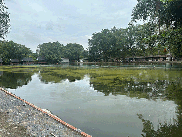 Sang khu câu cá Sang khu câu cá