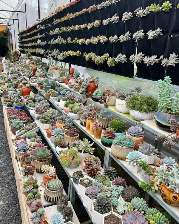 Sang quán cafe Sang quán cafe